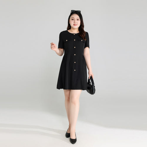 Plus Size Black Chic Fit and Flare Dress