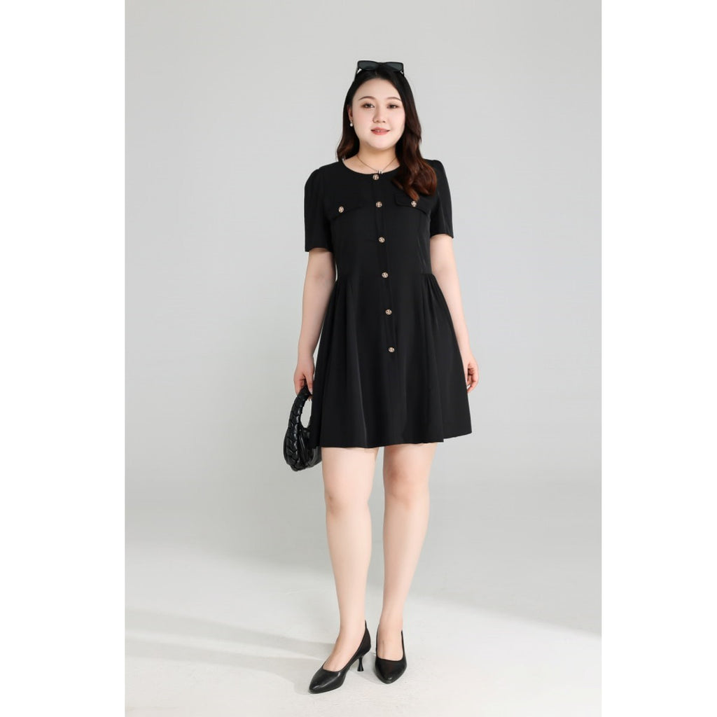 Plus Size Black Chic Fit and Flare Dress